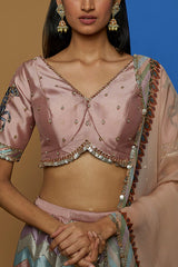 Multi-Coloured Printed & Embroidered Lehenga Set